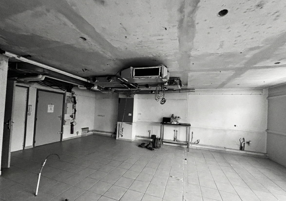 Gemini_Generated_Image_pp6bntpp6bntpp6b